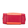 LOEWE Tricolor Goatskin Amazona 28 Secondhand