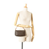Louis Vuitton Monogram Pochette Accessoires Secondhand