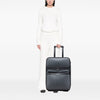 Louis Vuitton Damier Graphite Pegase Business Luggage 55 Secondhand