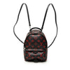 Louis Vuitton Limited Edition Monogram Infrarouge Mini Palm Springs Secondhand
