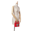 Secondhand Dior Niki De Saint Phalle Mini Calfskin Lady Dior