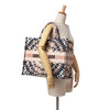 Dior Large Embroidered Canvas Tie Dye Book Tote Secondhand