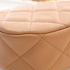 Chanel Small Quilted Aged Calfskin Chanel 19 Hobo Secondhand