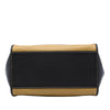 LOEWE Tricolor Leather Anagram Oro Handbag Secondhand