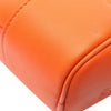 LOEWE Calfskin Amazona 16 Square Bag Secondhand