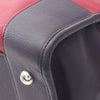 LOEWE Tricolor Leather Amazona 36 Secondhand