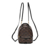 Louis Vuitton Monogram Mini Palm Springs Secondhand