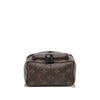 Louis Vuitton Monogram Mini Palm Springs Secondhand