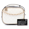 Chanel Small CC Quilted Crumpled Calfskin Vanity Case Secondhand