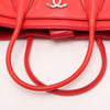 Chanel Cerf Executive Tote Leather