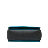 Secondhand Celine Leather Frame Shoulder Bag