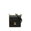 Secondhand Chanel Small Lambskin Chic Pearls Flap