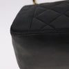 Chanel Vintage Diana Flap Bag Quilted Lambskin