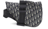Christian Dior Saddle Crossbody Bag Oblique Canvas