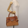 Salvatore Ferragamo Gancini mini handbag Wood