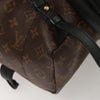 Secondhand Louis Vuitton Palm Springs Backpack Reverse