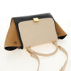 Secondhand Celine Tricolor Trapeze Bag