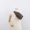 Louis Vuitton Geronimos Waist Bag Damier