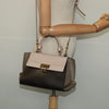 Secondhand Salvatore Ferragamo Gancini handbag