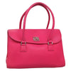 Loewe Alamo Handbag Leather