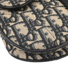 Christian Dior Saddle Handbag Oblique Canvas
