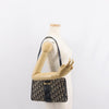 Christian Dior Vintage CD trotter Shoulder bag Canvas