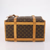 Secondhand Louis Vuitton Dog Carrier Bag