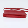 Celine Trio Crossbody Bag Leather