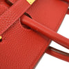 Hermes Birkin Handbag Vibrato and Togo