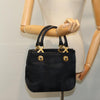 Secondhand Salvatore Ferragamo Vintage Handbag