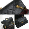 Chanel Diana Flap Bag Quilted Lambskin