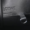 Loewe Hammock Bag Leather and Suede
