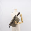 Gucci GG Supreme Belt Bag GG Coated Canvas and Leather