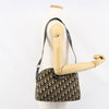 Christian Dior Vintage CD trotter Shoulder bag Canvas