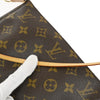Louis Vuitton Pochette Accessoires Monogram Canvas