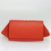 Celine Trapeze Bag Leather with Suede
