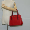 Burberry Vintage Handbag Leather