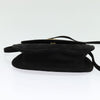 Celine Handbag Suede