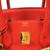 Hermes Birkin Handbag Vibrato and Togo