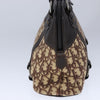 Christian Dior Vintage Trotter Handbag Canvas