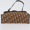 Christian Dior Trotter Canvas