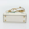 Christian Dior Lady Dior Leather