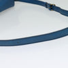 Louis Vuitton Cartouchiere Epi Leather