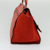Celine Trapeze Leather with Suede