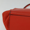 Celine Trapeze Leather with Suede