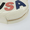 Chanel La Pausa Evening Chevron Lambskin with Applique