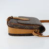 Louis Vuitton Cartouchiere Monogram Canvas
