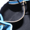 Louis Vuitton Petit Noe Epi Leather