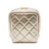 Secondhand Chanel CC Quilted Metallic Lambskin Cube Zip Clutch with Chain