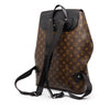 Secondhand Louis Vuitton Monogram Macassar Palk Backpack